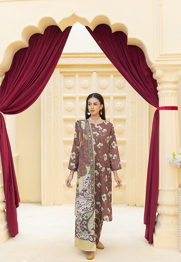 DPK12588-PG724 Stitched 3 PCS Khaddar