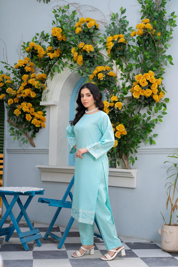 CSE720PG725 Stitched 2 Pc Solid Embroidered Cambric