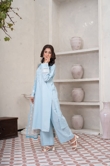 ES732PG1125 Stitched 3 Pcs Solid Embroidered Cambric