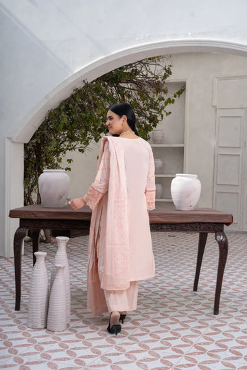 EB733PG1225 Stitched 3 Pcs Solid Embroidered Cambric